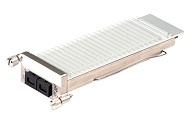 10G XENPAK