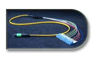 Multi_Fiber_Collimator
